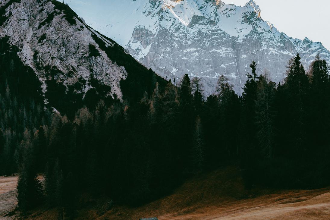 Snow-capped mountains above a spruce forest